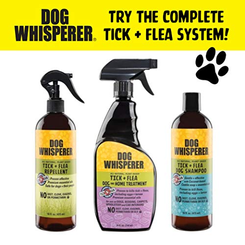 YAYA ORGANICS Dog Whisperer Tick + Flea Repellent, Proven Effective, All-Natural, Safe for Dogs and Their People (4 Ounce Spray) - Thumbnail 6