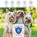 Flеa Tiсk Collar Prevention Control for Dogs & Cats - Natural Herbal Non-Toxic Adjustable Flеa Collar Waterproof Protection for Large Medium Small Pet Supplies Repels Flеas Licе Tiсks Mоsquitоes