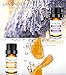 TASEYAR Essential Oil Set of 6, Therapeutic Grade Aromatherapy Secented Essential Oil Gift Set (Lavender, Tea Tree, Eucalyptus, Peppermint, Lemongrass and Sweet Orange), 10ml/Bottle