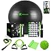 The Ultimate Yoga Ball Set - 5 in 1 65cm Anti Burst Fitness Ball Set, Resistance Band, Pilates Band, Stretch Yoga Strap, and Spiky Massage Ball with Fitness Guide and Videos Swiss Ball Exercise Ball