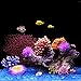 Danmu 1Pc of Polyresin Coral Ornaments, Aquarium Coral Decor for Fish Tank Aquarium Decoration 5.11″ x 3.93″ x 2.75″thumb 3