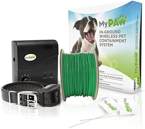 In-Ground Electric Pet Containment System