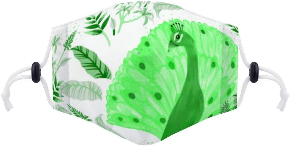 Face Anti-dust Masks Washable Reusable Masks Balaclava MaskCPeacock (with Free PM2.5 Replaceable Filter