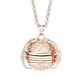 amiubo Mode Expanding Photo Médaillon Photo Box Collier Pendentif Longue Chaîne 