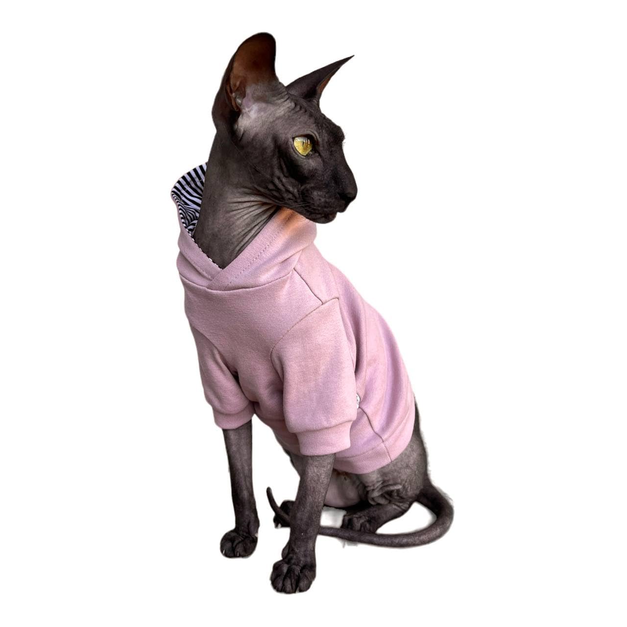 Kotomoda Sphynx Cat's Hoodie Nude Naked Cat Hairless Cat Clothes (S) — image 1