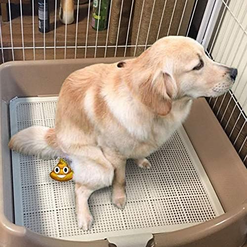犬用トレーニングパッドホルダートレイ ポータブルトイレトレーナー 屋内犬用トイレ 子犬用パッドフロアトレイ 大 B07kk2rn 8 264円 人気海外一番 100 品質保証 全品送料無料 即日出荷 Sale開催中