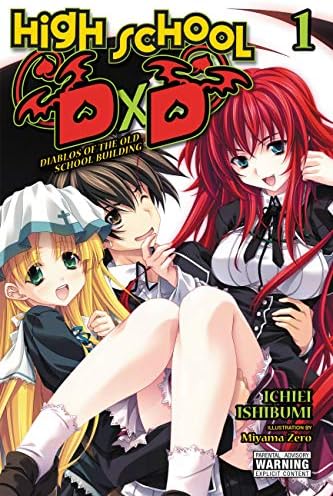 Amazon.com: High School DxD, Vol. 12 (light novel): Supplementary