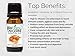 BioFinest Tangerine Oil - 100% Pure Tangerine Essential Oil - Soothe Oily Skin, Wrinkles and Scars- Premium Quality - Therapeutic Grade - Best For Aromatherapy - FREE E-Book (10ml)
