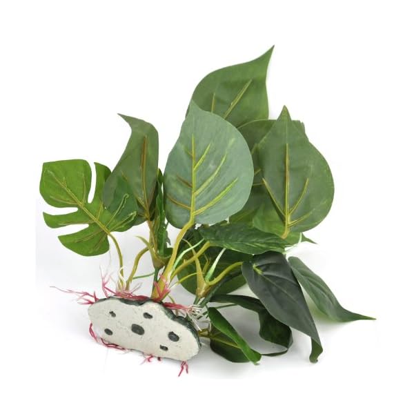 DIGIFLEX-Artificial-Plant-for-Fish-Tank--Fake-Plant--Fish-Tank-Decorations--Fishtank-Ornament-Green-Leaves--20cm--Home-Aquarium--Natural-Realistic-Design DIGIFLEX Artificial Plant for Fish Tank – Fake Decorations – Fishtank Ornament Green Leaves – 20cm – Home Aquarium – One…