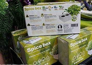 Spice Box.- Kit de cultivo interior, 4 especias: Albahaca, perejil ...