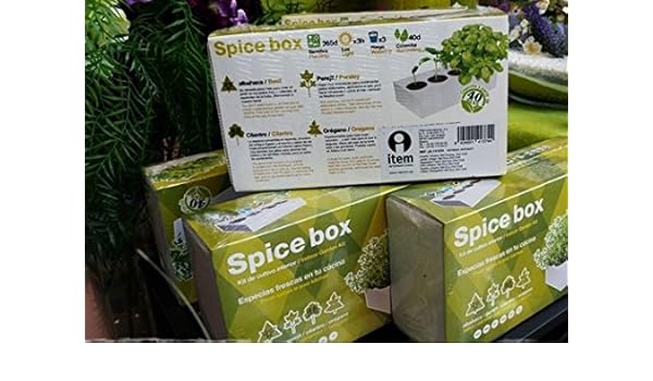 Spice Box.- Kit de cultivo interior, 4 especias: Albahaca, perejil ...