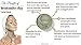 Amaki Bentonite Clay Mud Mask included Konjac Sponge with Activated Bamboo Charcoal and Applicator Brush - Adult Acne Treatment and Blackhead Remover that Unclogs and Minimizes Pores
