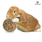 SunGrow Natural Seagrass Ball - Perfect & Safe Chewable Teething Toy for Rabbits