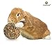 SunGrow Seagrass Balls for Rabbit, for Pet’s Gums & Teeth, Chewable Teething Activity Toy for Gerbils, Guinea Pig, Dwarf Bunny, 1 Piece
