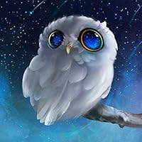 Pandaie New 5D Diamond Painting Kit -White Owl- DIY Crystals Diamond Rhinestone Painting Pasted Paint by Number Kits Cross Stitch Embroidery Decor Wall Stickers & Murals Bedroom-Partial