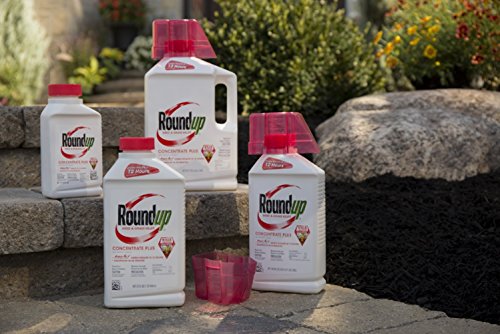 3 Roundup+Grass+Killer+Concentrate+16+Ounce