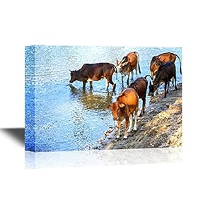 Canvas Wall Art - Herds of Cows Drinking Water - Gallery Wrap Modern Home Art | Ready to Hang - 12x18 inches