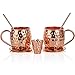Moscow Mule Copper Mugs: Set of 2 x 18oz Mug, 2 x Coaster, 2 x Straw, 1 x Shot Glass/Cup & Bonus Cocktail Recipe eBook - 100% Copper Accessories & Kit: Handmade & Hammered - The Perfect Kitchen Gift
