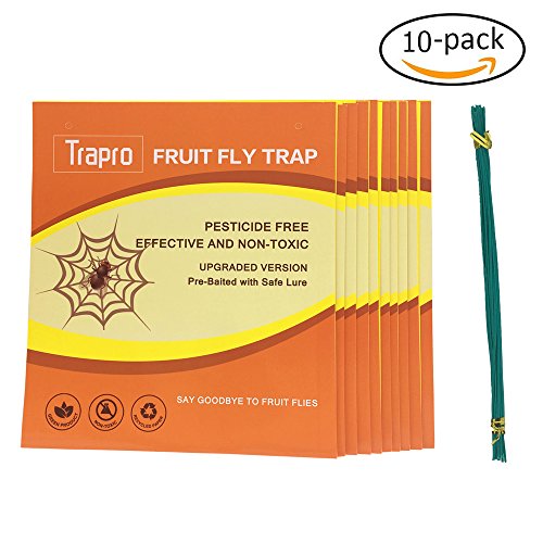 Trapro Fruit Fly Traps Prebaited with Safety Pheromone Lures for Flying Insects Like Fruit flies, Fungus Gnats, Aphids, Whiteflies - 10 Pack Trapro Fruit Fly Traps Prebaited with Safety Pheromone Lures for Flying Insects Like Fruit flies, Fungus Gnats, Aphids, Whiteflies - 10 Pack