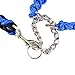 Petroad ColorPet Martingale Slip Lead Collar Bear Fruit Dog Leash for Medium and Large Dogs, Medium, Black Blue