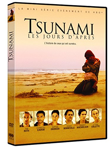 Tsunami Les jours d'après