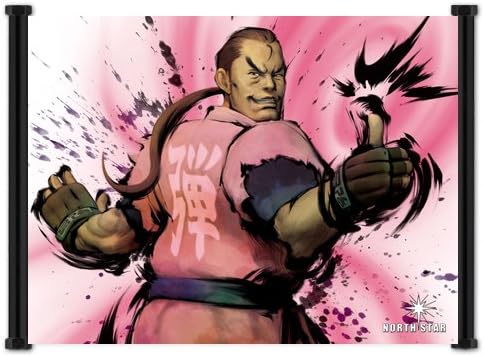 Street Fighter IV 4 Dan Game Fabric Wall Scroll Poster (21"x16") Inches