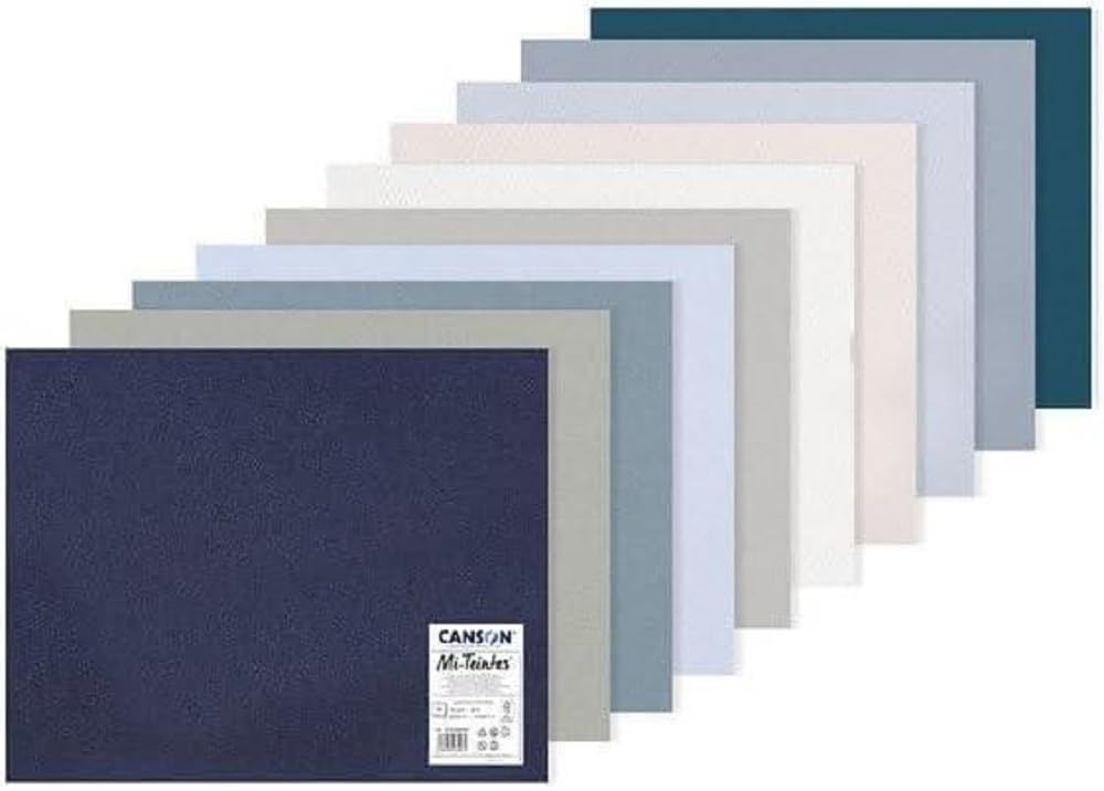 CANSON Mi-Teintes Coloured Drawing 160gsm 50x65cm Paper Pack, Double Sided: Honeycomb & Fine Grain, 10 Cool Tones Colour Sheets, For Professional Artists & Illustrators