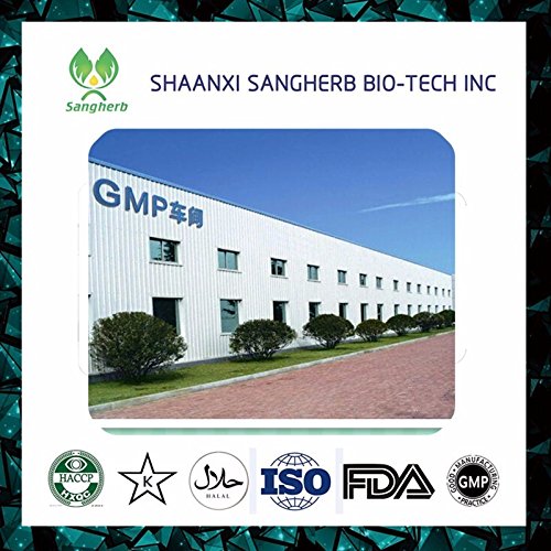 Ochoos Natural Wild Ganoderme luisant/Lingzhi Mushroom Extract and Cordyceps sinensis Extract compounded 100g