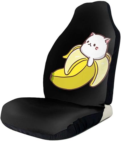 baby seat in front seat