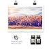 Valuetoner Remanufactured Ink Cartridge Replacement for Canon PG-210XL CL-211XL (2 Pack) for Canon PIXMA IP2702 IP2700 MP230 MP240 MP250 MP270 MP280 MP480 MP490 MP495 MP499 MX320 MX330 MX340 MX420