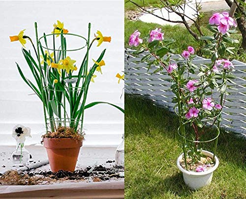 DoubleWood Plant Support Cages 18" Plant Cages Vine Trellis Support Flowers Plants Cage Triple Plastic Pillar Vine Plants Holder Stand Small Pot Tomato Trellis for Home Garden Balcony (Pack of 2)