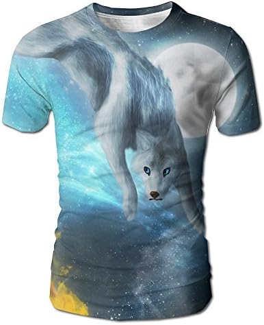 Vvw4 Magic Snow Fox Fire Fox 3D Print Graphic Men's T-Shirt Short Sleeve O-Neck Tees Shirts For Men