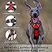 BARKBAY Dog Harness No Pull for Large Dogs - Adjustable, Reflective, Comfortable, No Choke, Heavy-Duty - Perfect for Outdoor Training, Walking, and Hiking - Strong & Durable - XL & Red