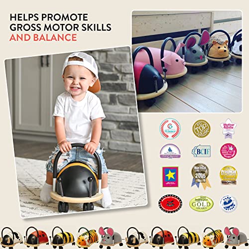 Prince Lionheart Wheely Bug, Bee, Small in Oman Whizz Stuffed