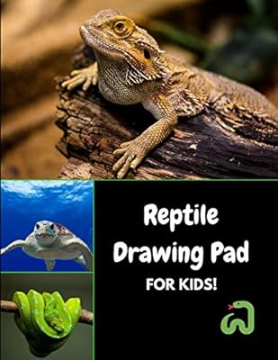 Reptile Drawing Pad For Kids Sketch Color And Draw Snakes Lizards And Turtles Journals4fun Amazon Com Au Books