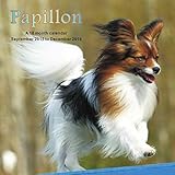 Papillon Wall Calendar 2016