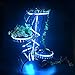 LTROP 2 Rolls 32.8ft 300 LED Strip Lights Kit, Non-waterproof flexible RGB Color Changing SMD 5050 Light Strip with Mini 44 Key IR Controller and 12V 5A Power Supply