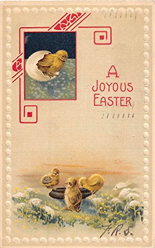 Joyous Easter greetings chick in egg chicks in water dish antique pc Z4567
