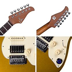 GTRS S800 Electric Guitar Kit Rosewood Fretboard
