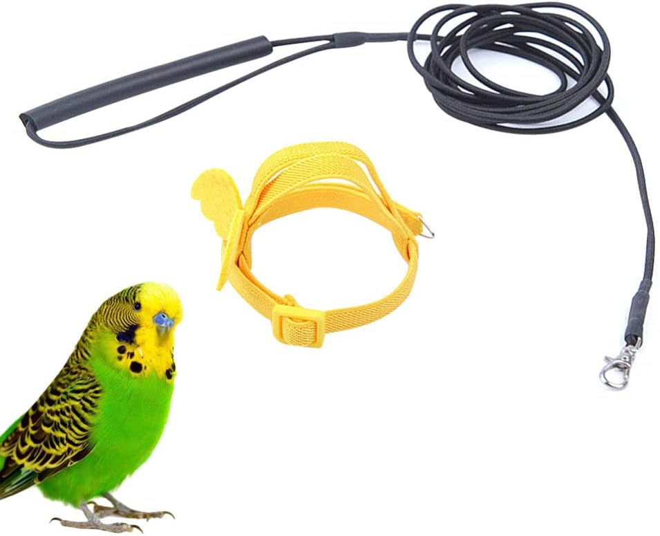 cockatiel bird harness leash