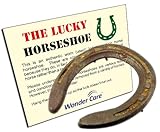 Lucky Horseshoe Used