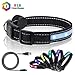 LED Safety Dog Collar - USB Rechargeable Light Up Pet Collar with Color Changing Feature, Flashing Light Glowing Pet Collar- Makes Your Dog Visible, Safe & Seen
