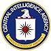 Insurgent Counterintelligence