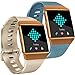 Tobfit Compatible with Fitbit Ionic Bands, Soft TPU Sport Arm Wristband Accessories for Women Men, Small, Champagne Gold, Slate
