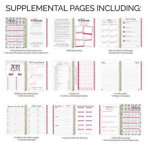 image for bloom daily planners 2019 Calendar Year Day Planner - Passion/Goal Org