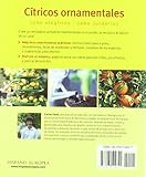 Image de Citricos ornamentales / Ornamental citrus: Rápido y fácil / Quick and Easy (Jardin en casa / Garden at Home) (Spanish Edition)