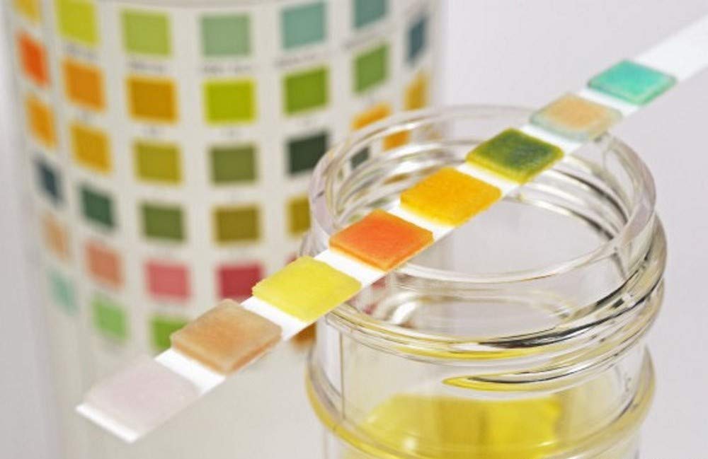 15 x 10 Parameter Professional GP Urinalysis Multisticks Urine Strip