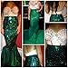 Quesera Women's Mermaid Tail Costume Sequin Maxi Skirt Cosplay Halloween Party Dress, Green, tag XXL= US 16-18