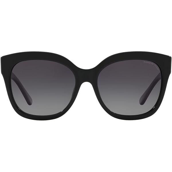 Amazon.com: COACH HC8295 Sunglasses, Black/Dark Grey  display picture 3