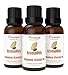 Cinnamon (Cassia) Bark Essential Oil by AromaOils - 1 oz (30 ml) - Best for Aromatherapy, Muscle Pain Relief, Massage, and Anxiety and Depression Relief